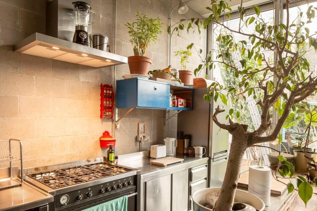 Villa Mari'S: Multifunctional Shelter With Big Garden Gante Exterior foto